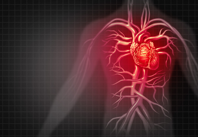 ④心脏震击综合征：在运动中或其他形式的身体碰撞中